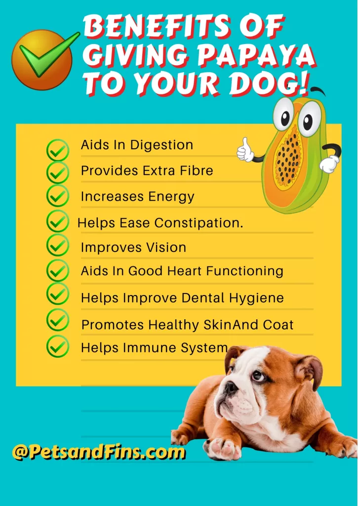 List of Benefits of papaya for your dog.