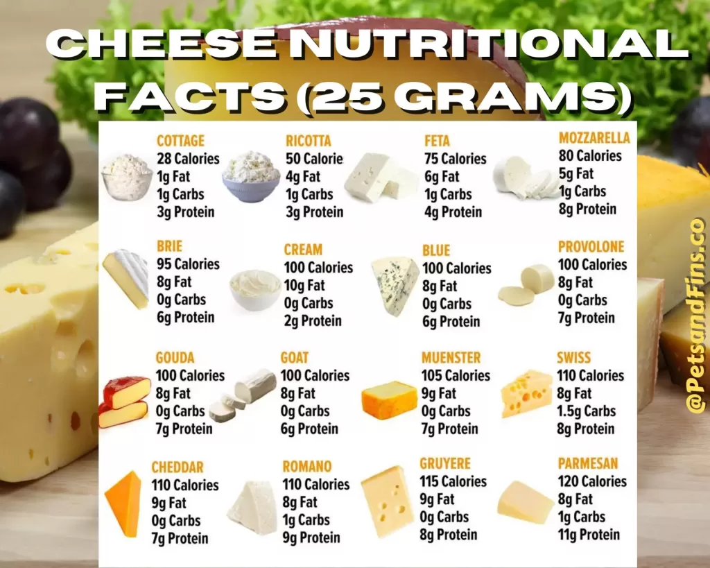 Cheese nutritional value