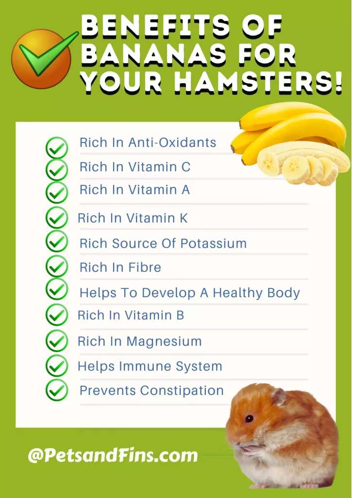 List of benefits of bananas for hamster.