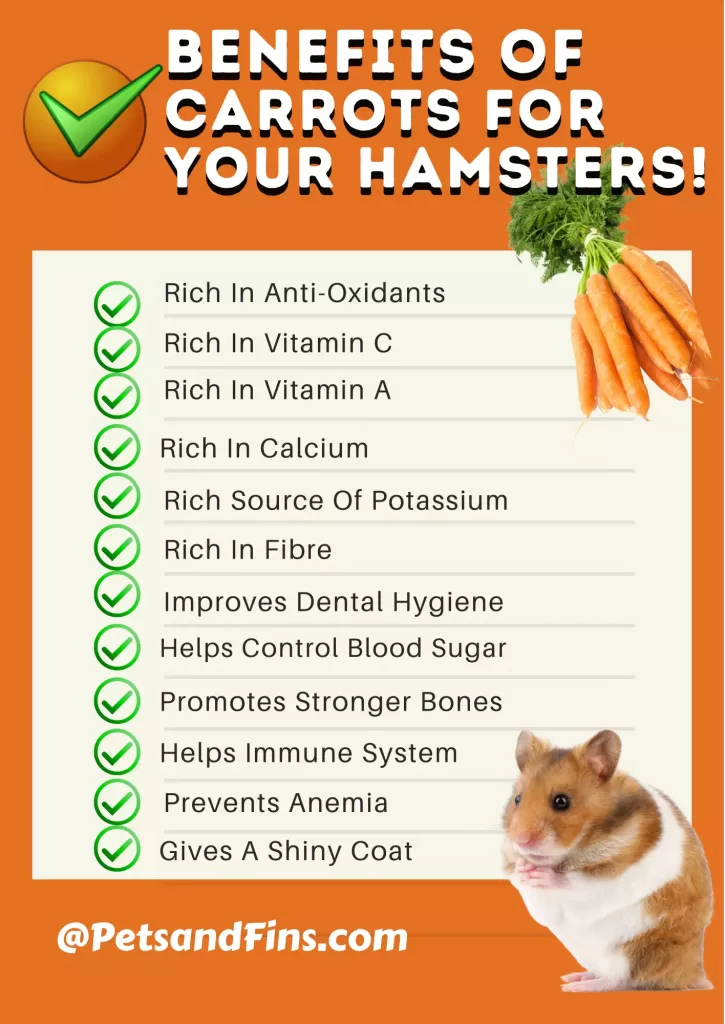 Benefits of carrots for a hamster