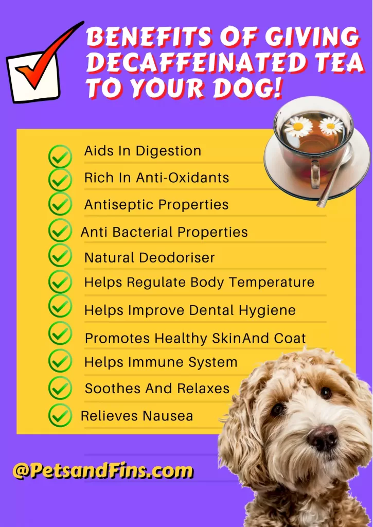 List of benefits of decag]ffeinsted tea for your dog