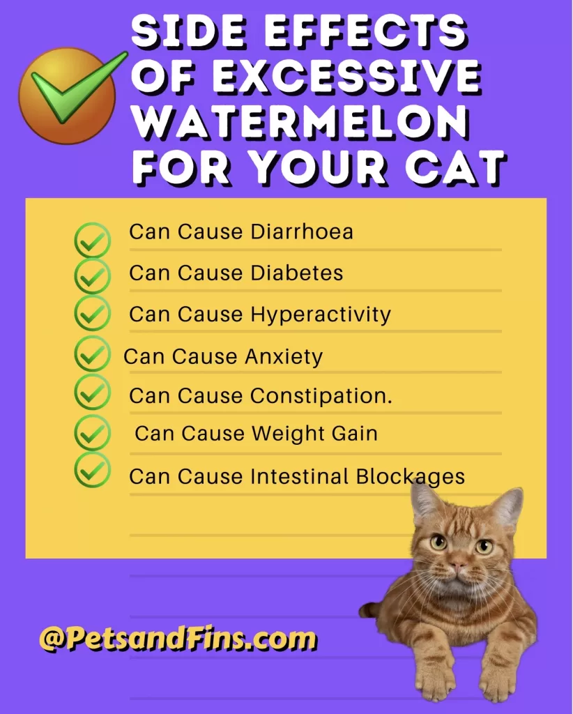 List of side effects of too much watermelon in  cats