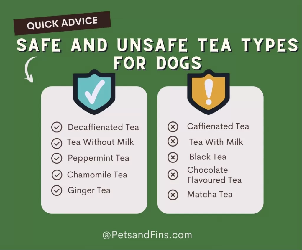 Safe and unsafe tea types for ur dogs