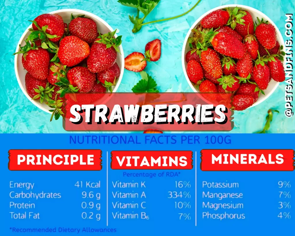 Nutritional value of strawberry