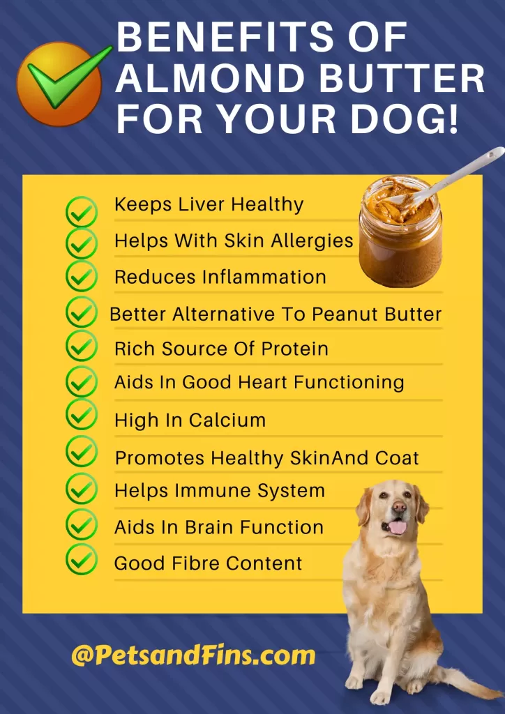 List of all the various benefits of almond butter for dogs