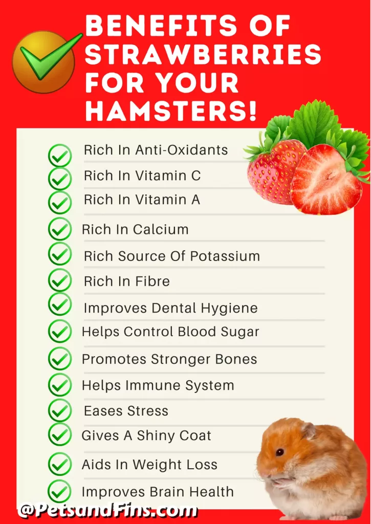 List of Benefits of strawberries for a hamster.