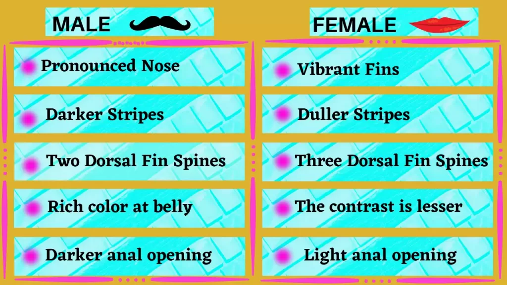 revised chart