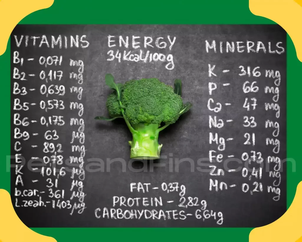 Nutritional value of broccoli 
