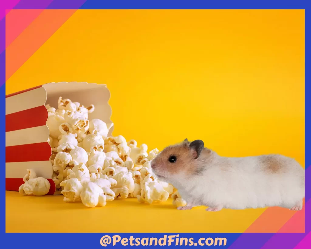 Hamster smelling popcorn