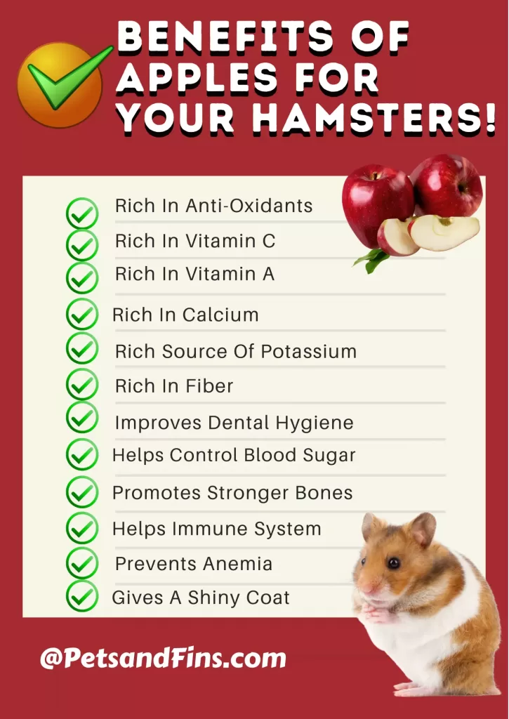 List of benefits of apple for your hamster.