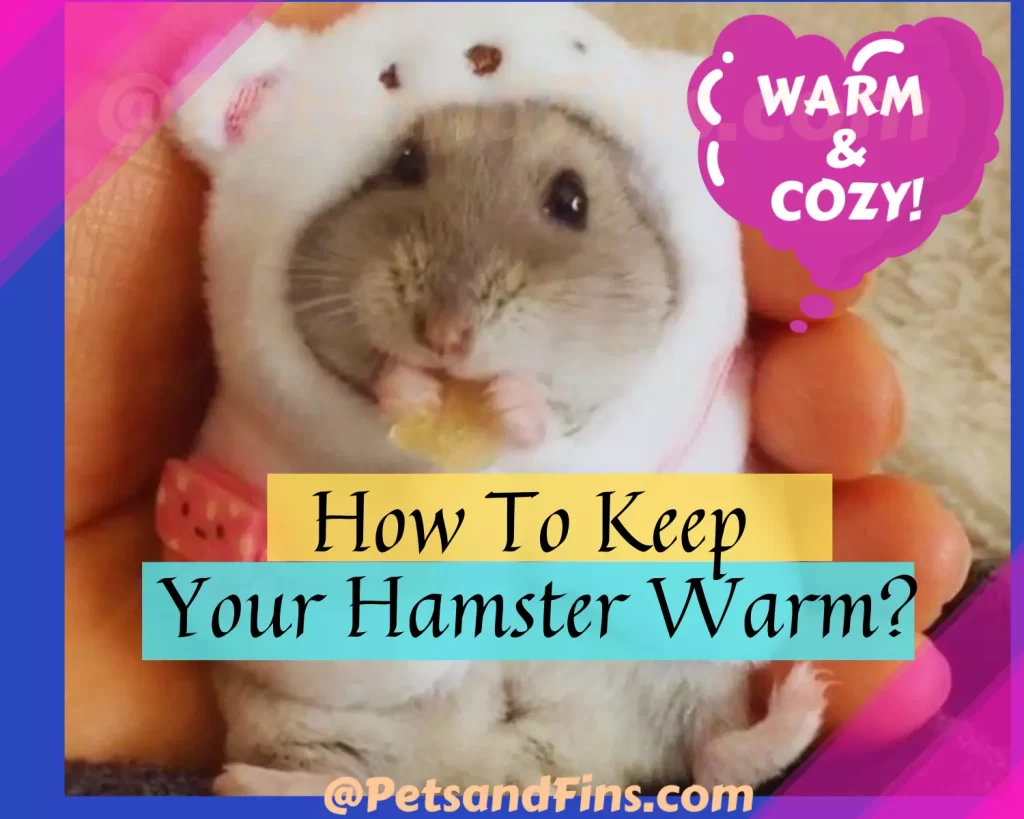 How to Keep Your Hamster Warm Amazing Winter Care Tips! PetsandFins