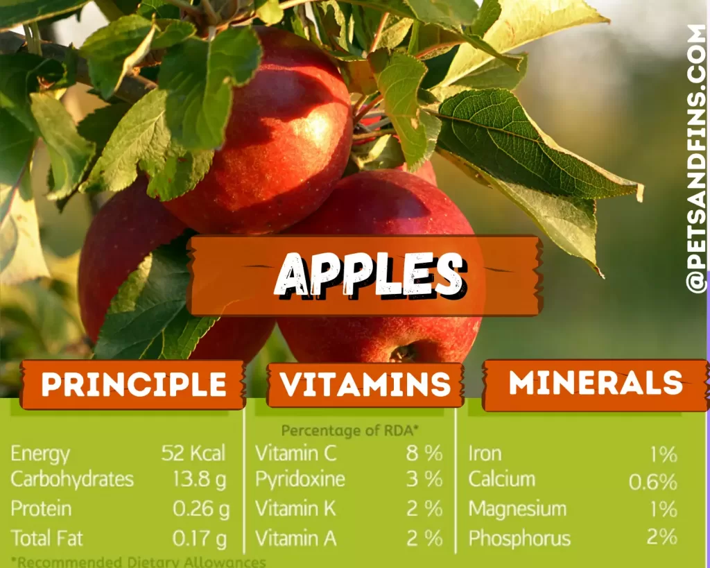 Nutritional value of apples