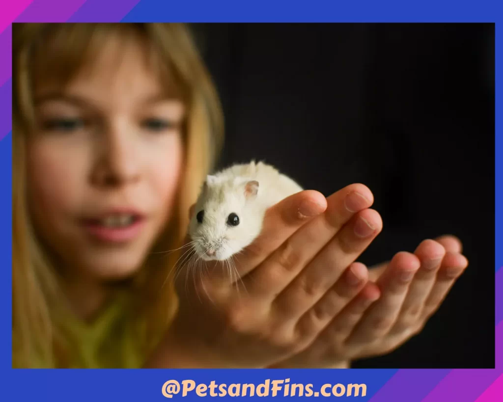 Why Do Hamsters Bite? Hamster in a girl’s hand