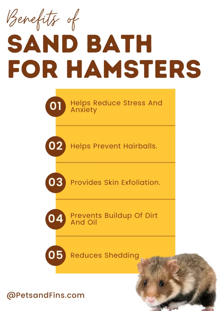 Benefits of sand bath for your hamster
