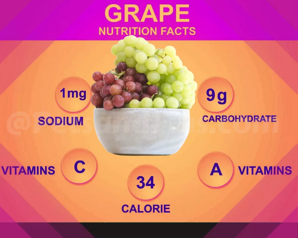 Nutritional value of grapes 