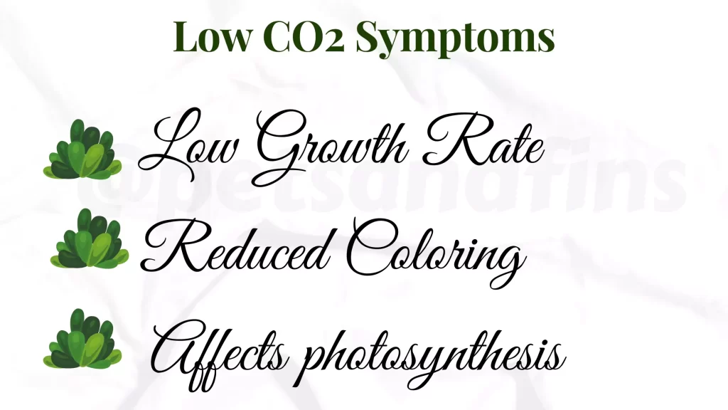 Low CO2 Symptoms