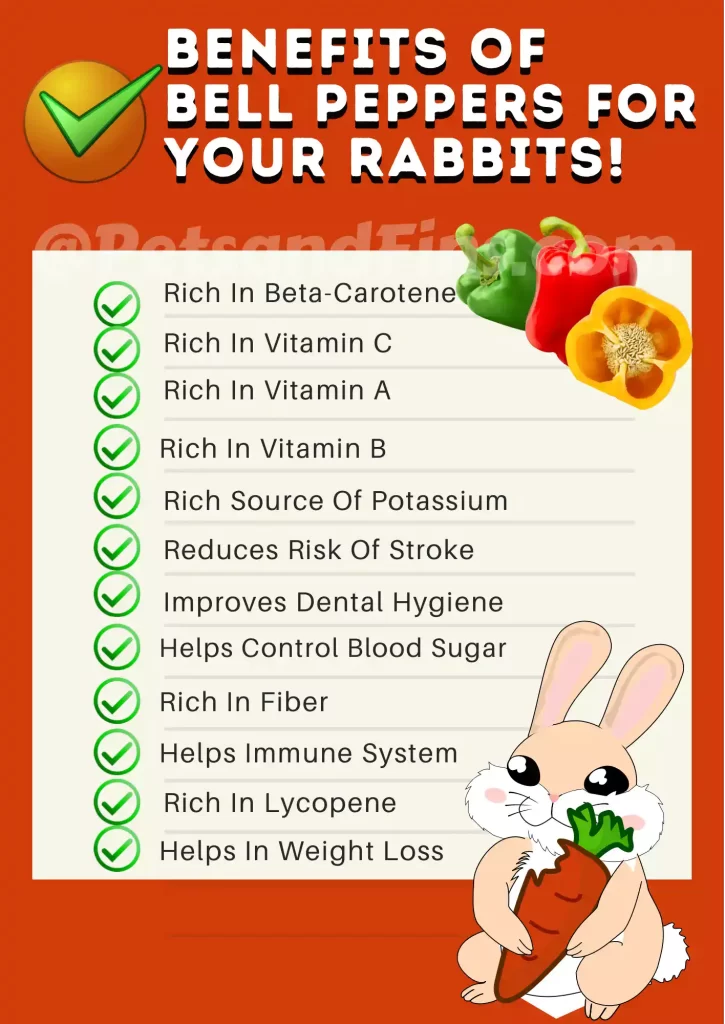 Benefits of bell peppers for rabbits