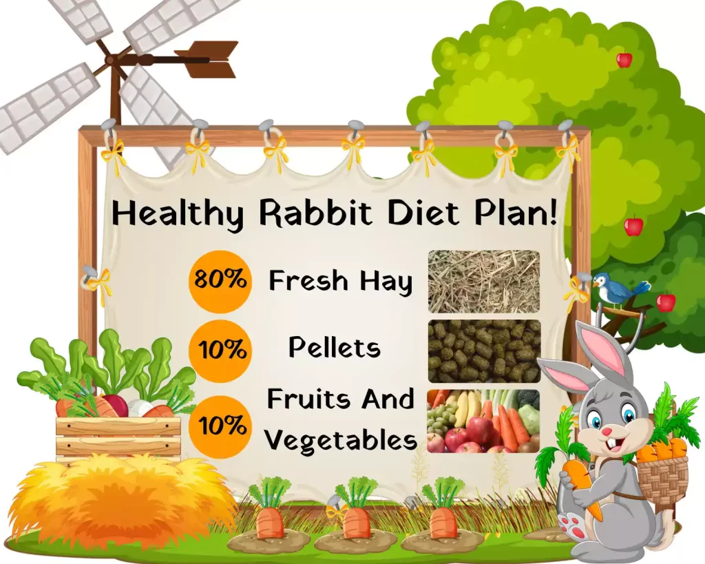 Rabbit healthy diet chart