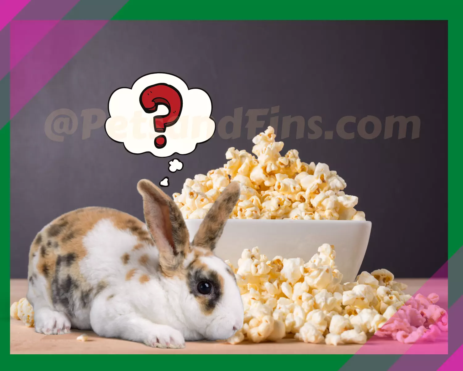 Can rabbits eat popcorn ?