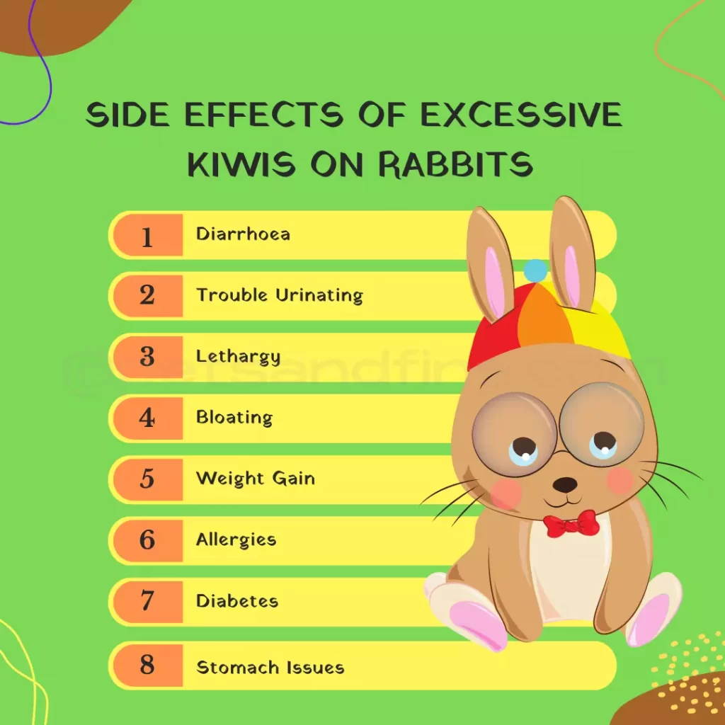 Side effects of Excessive kiwi on rabbits