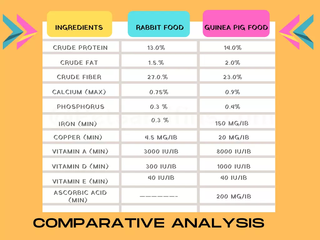 Comparision chart of rabbit food and Guinea pig food