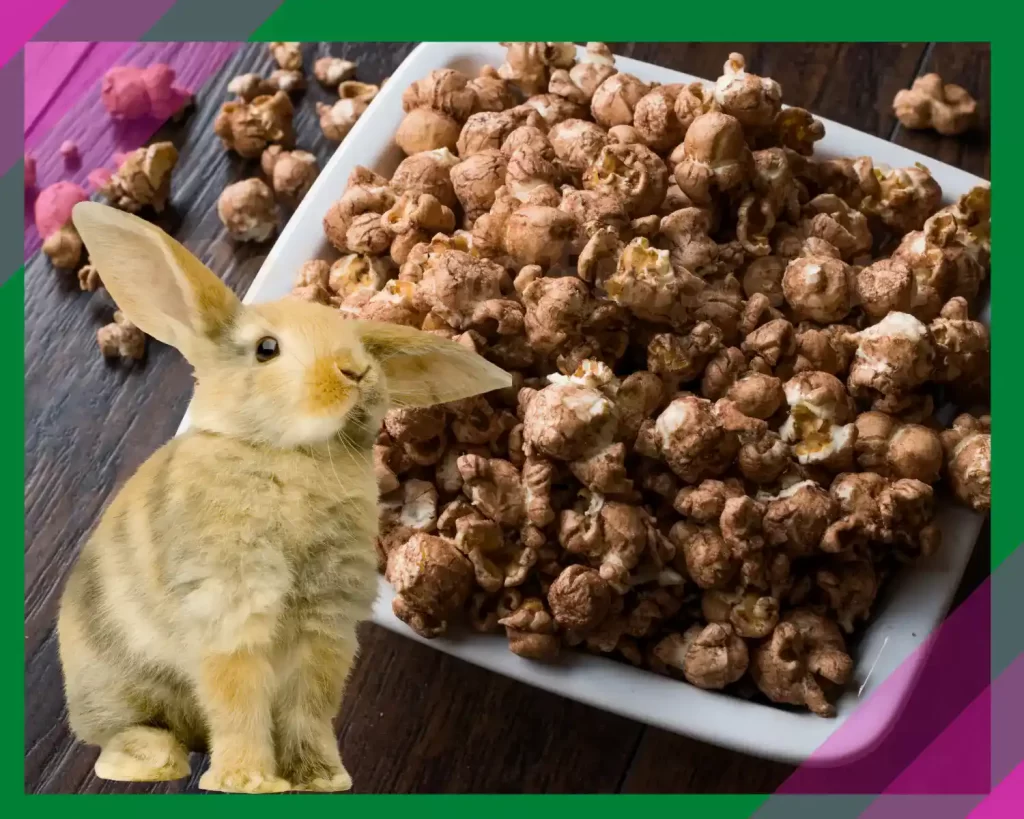 Rabbit and chocolate popcorn