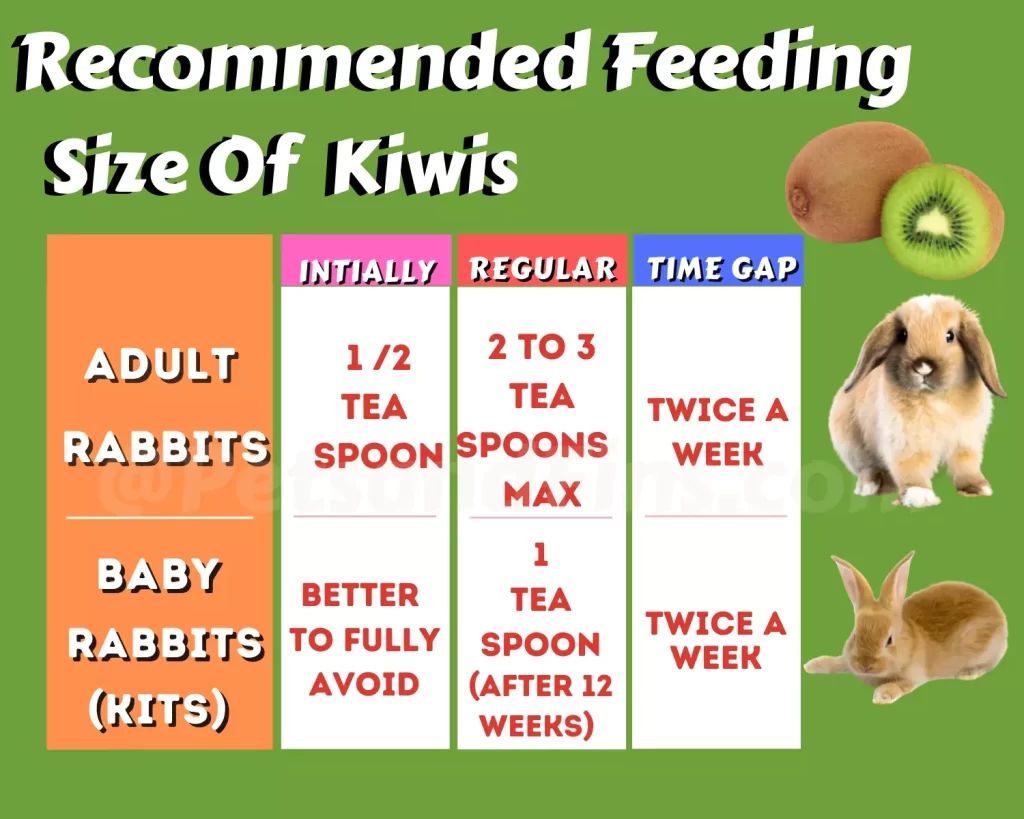 Kiwi feeding size for rabbits
