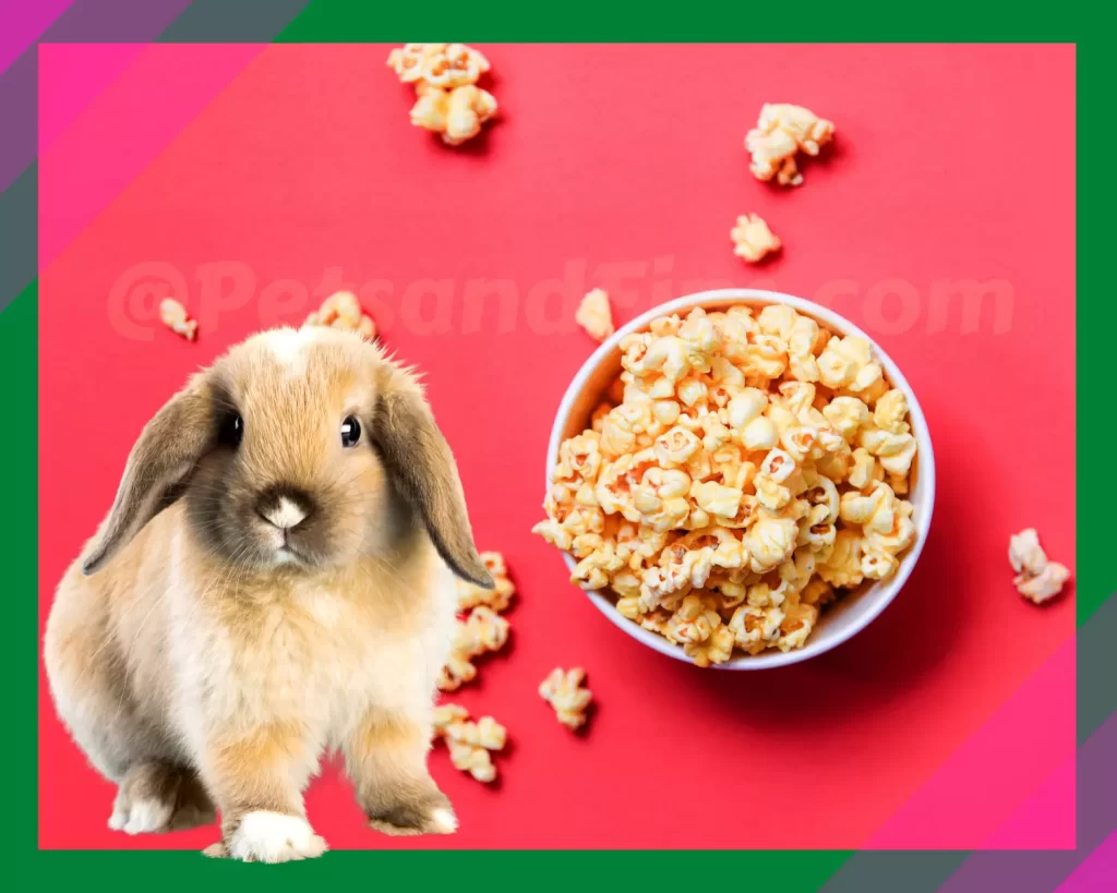 Rabbit and butter popcorn