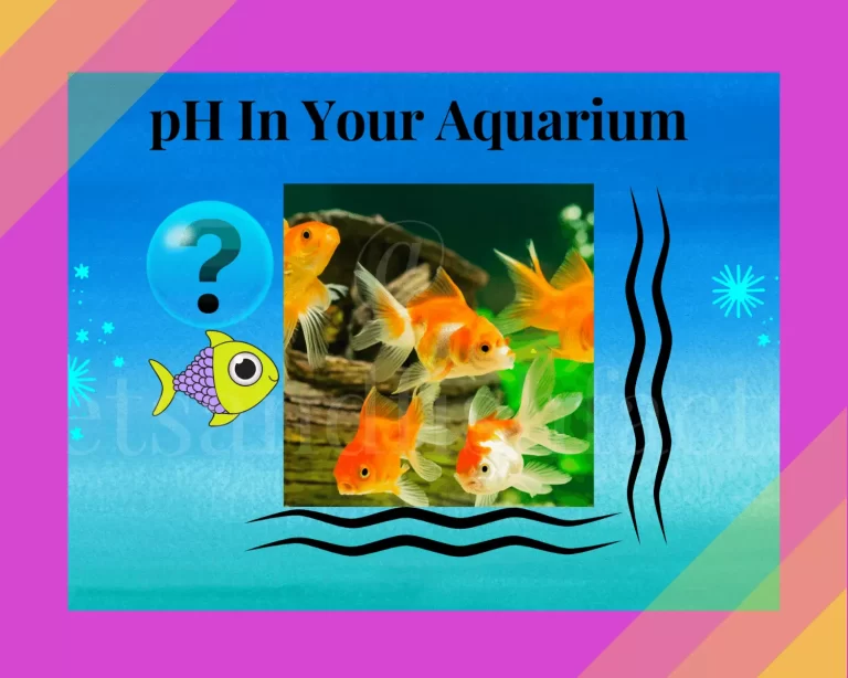 What is Aquarium PH?