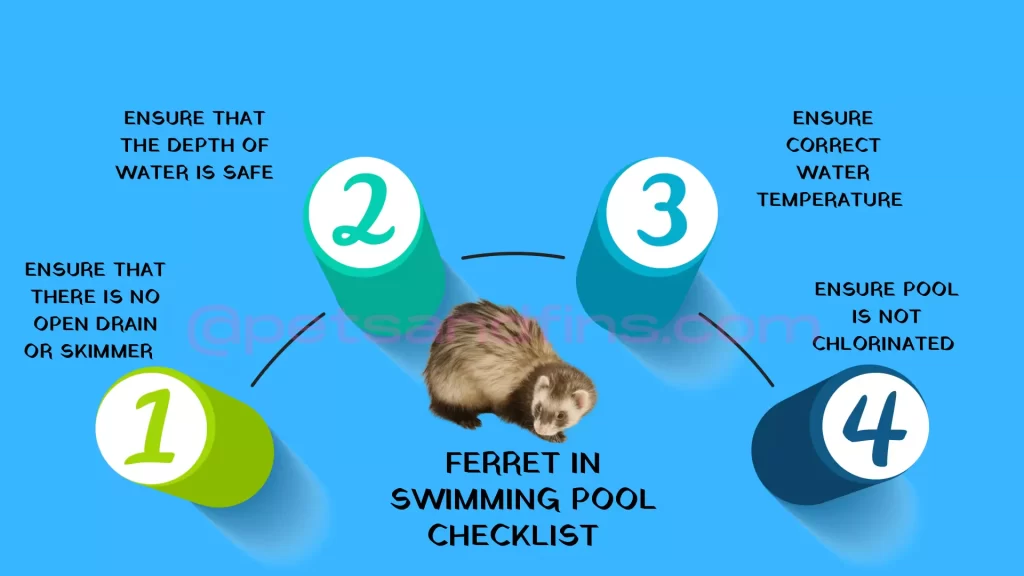 Checklist for ferret in swimming pool