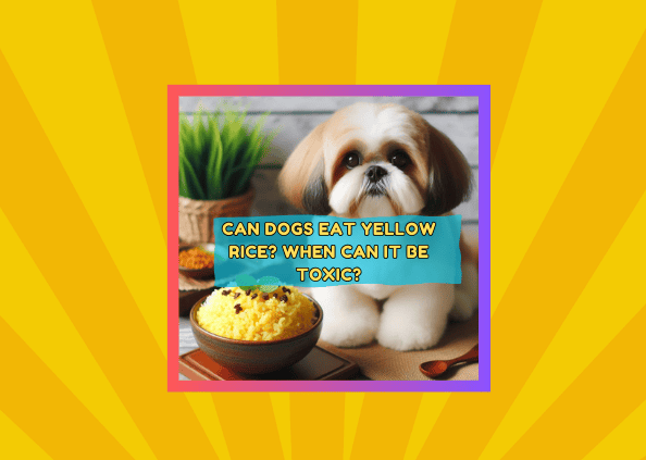 Can Dogs Eat Yellow Rice? When Can It Be Toxic?