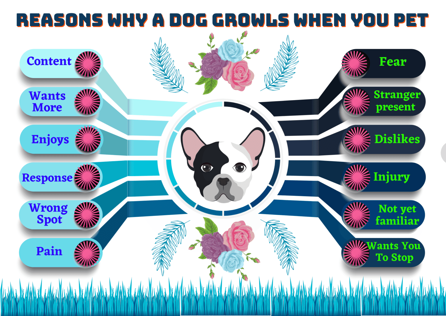 Why Does My Dog Growl When I Pet Him? PetsandFins