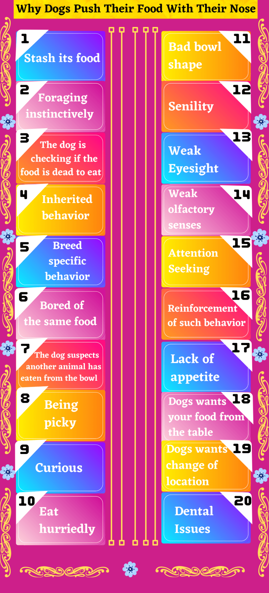 Why Does My Dog Push His Food With His Nose? PetsandFins