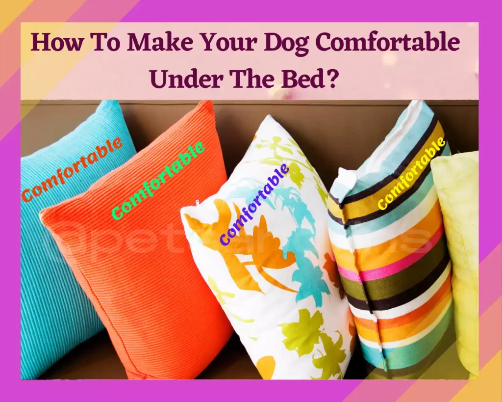 How to make your dog comfortable under the bed 