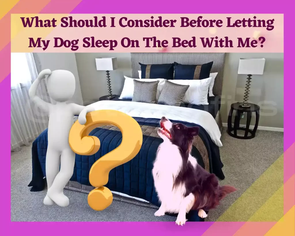 What Should I Consider Before Letting My Dog Sleep On The Bed With Me?