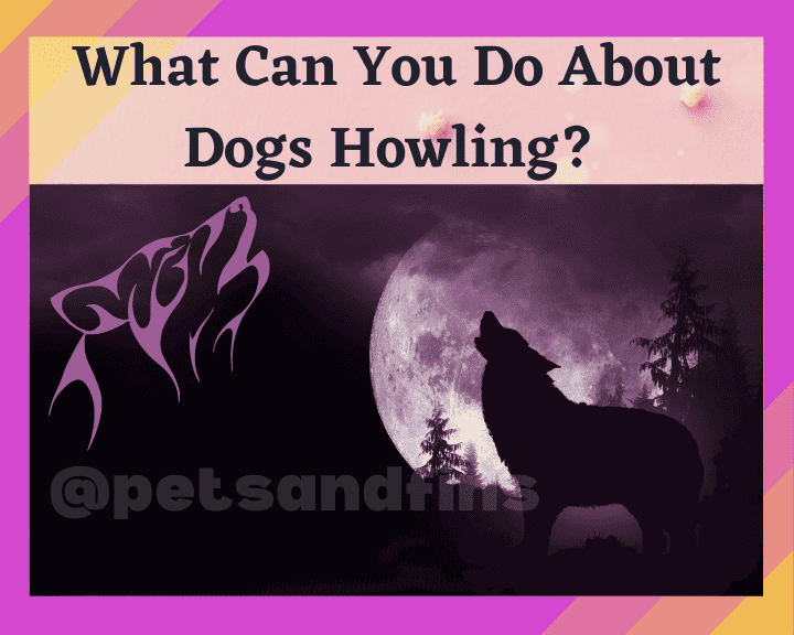 Howling 1