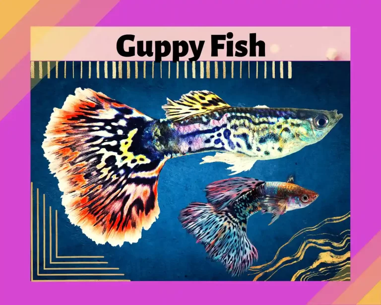 Guppies – The Bright & Colorful Fish