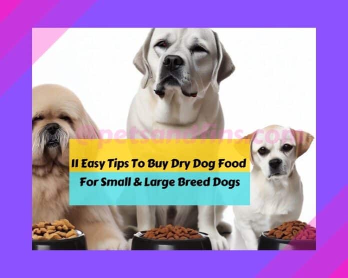 11 Tips To Buy Dry Dog Food For Small & Large Breed Dogs