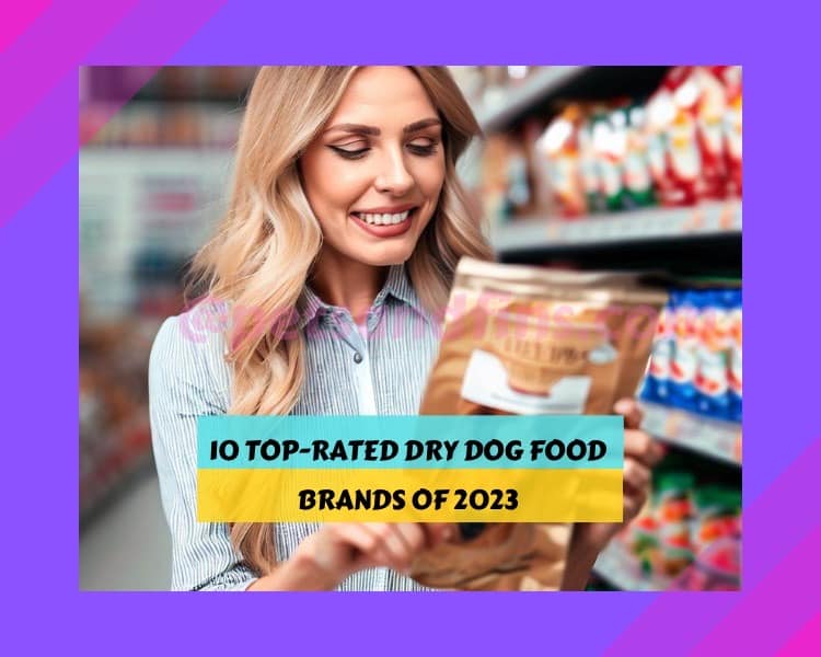 10 Toprated Dry Dog Food Brands Of 2023