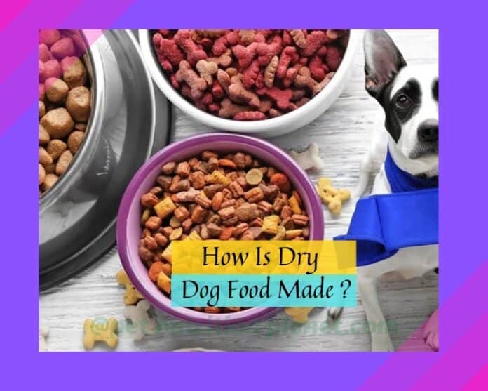 What is dry dog food and how is it made? 7 Surprising Steps