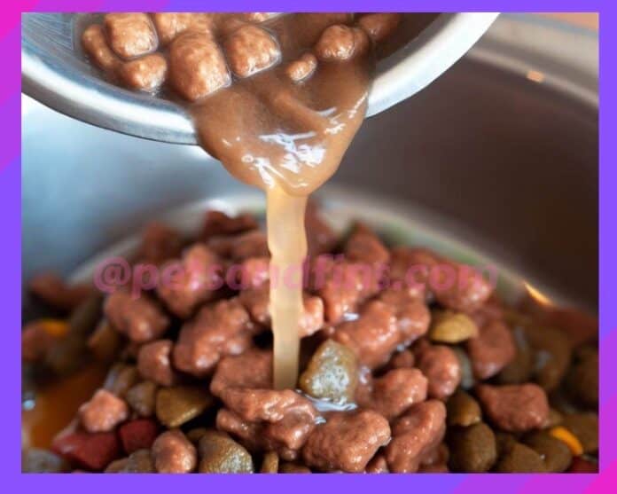 25 Quick And Easy Tips To Make Your Dog Eat Dry Dog Food