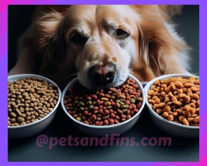 25 Quick And Easy Tips To Make Your Dog Eat Dry Dog Food