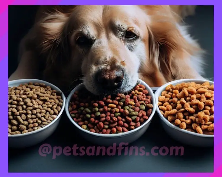 what-are-the-benefits-of-dry-dog-food?