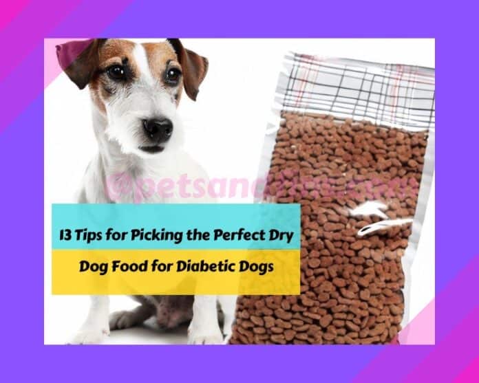 13 Tips for Picking the Perfect Dry Dog Food for Diabetic Dogs