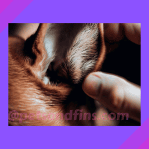 theSkimm - Your go-to for the info and tools you need to live your ...