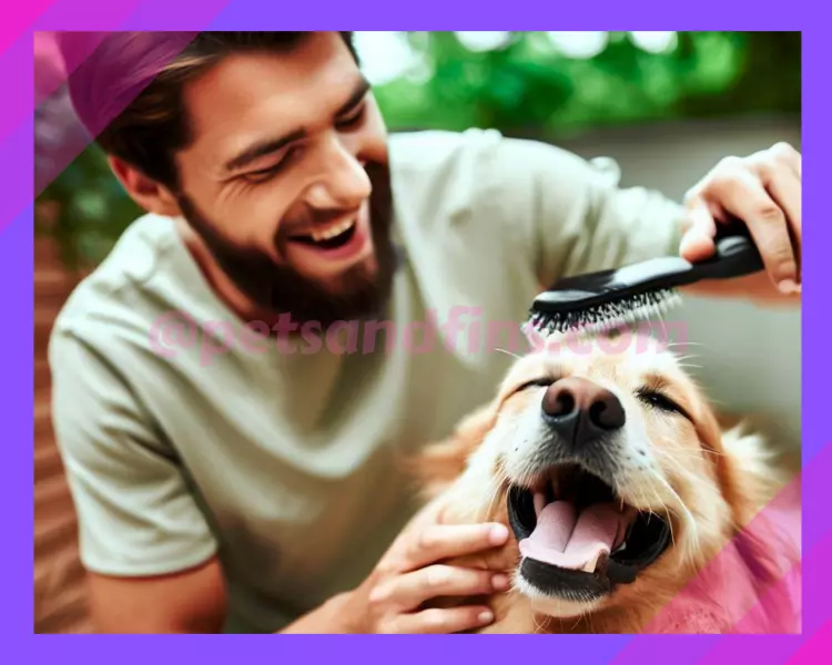 19 Benefits of Regular Dog Grooming