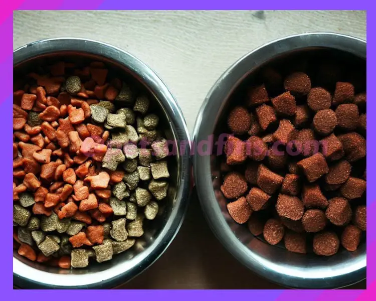 Homemade vs. Store-Bought Dry Dog Food - Which is better?