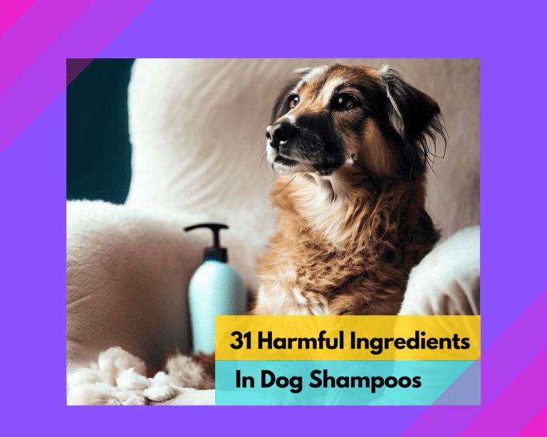 Unveiling the Truth: 31 Harmful Ingredients in Dog Shampoo