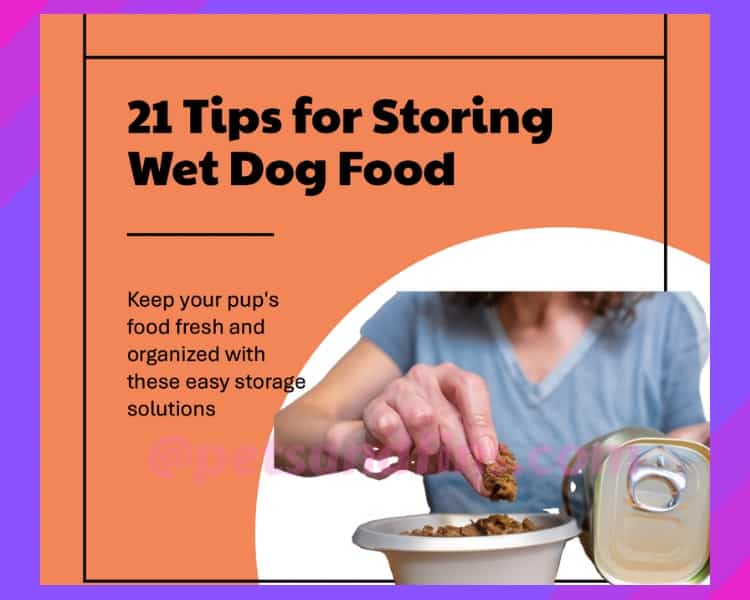 21 Easy Wet Dog Food Storage Tips