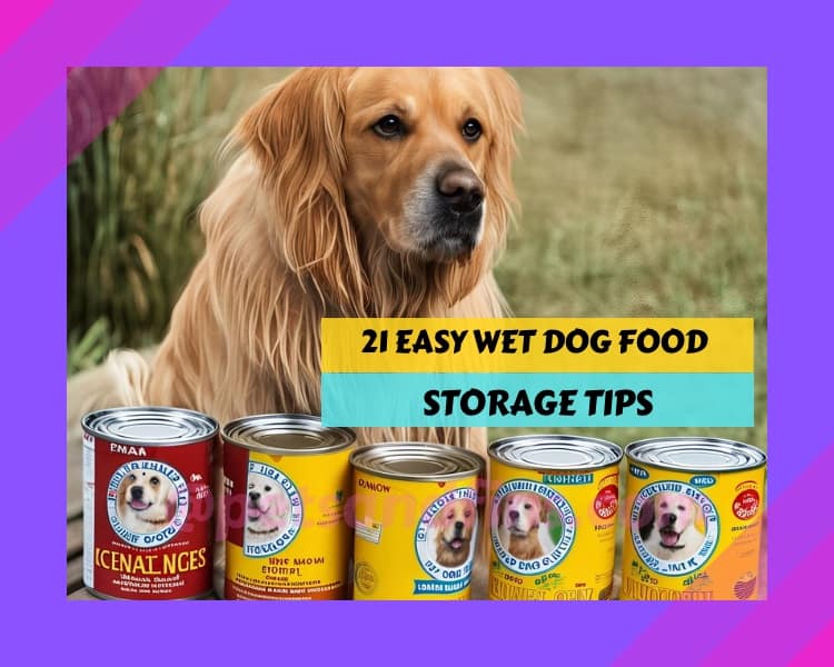 Wet Dog Food Storage Tips: Keeping It Fresh And Safe